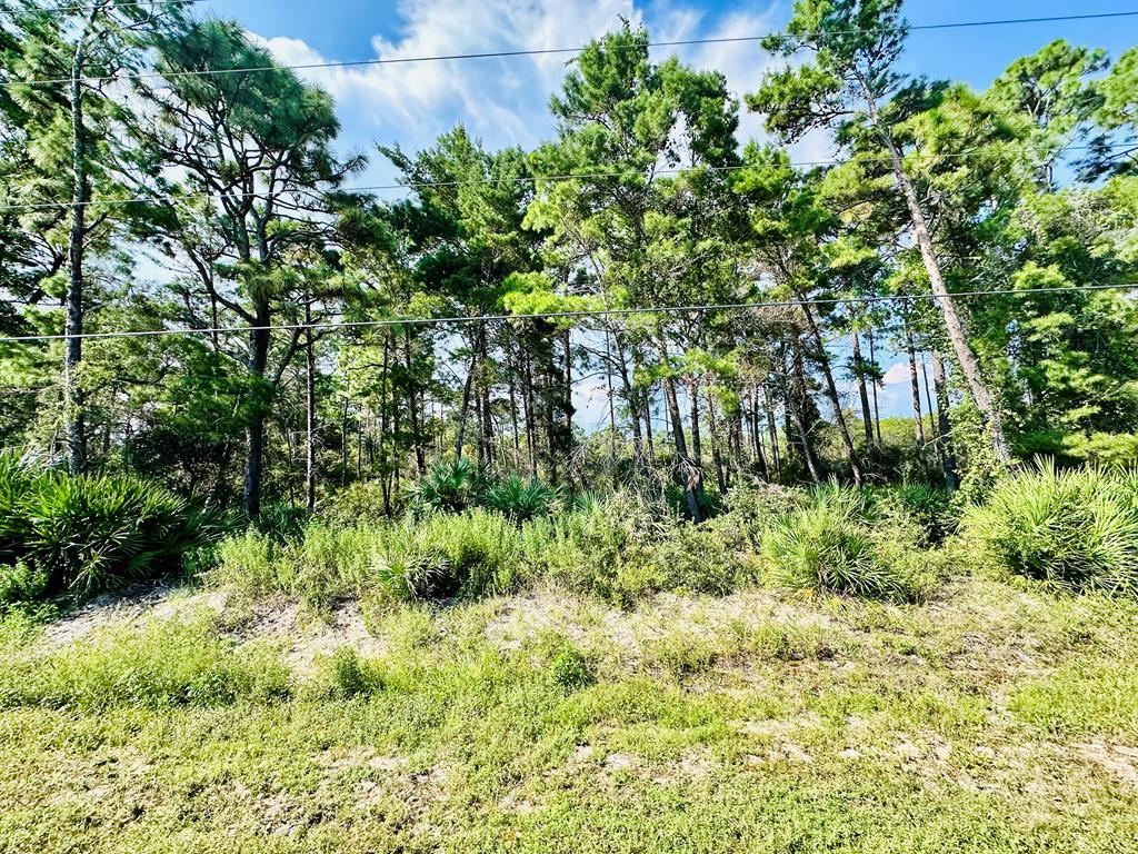 271 Twin Lakes Road Eastpoint, FL 32328 - Photo 1 of 17 Gallery Image 1