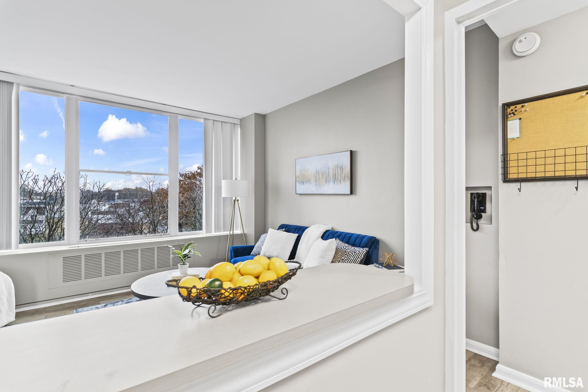 718 South 7th Street, Unit 405 Springfield, IL 62703 - Photo 9 of 34 Gallery Image 9