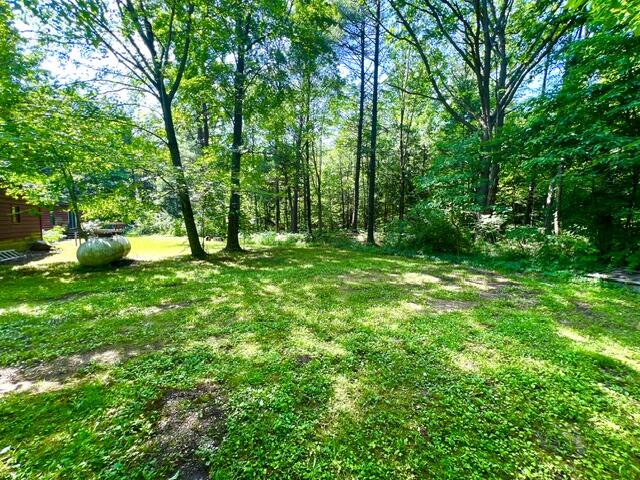 6980 Spaulding Road Fruitport, MI 49415 - Photo 39 of 40 IMG_0021