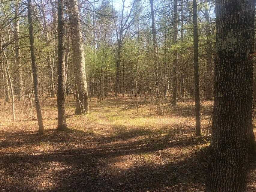 5012 Swihart Road Brethren, MI 49619 - Photo 57 of 59 1889679-56.JPG