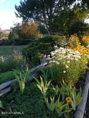 13910 Fisk Road Yakima, WA 98908 - Photo 3 of 48 a view of a garden with plants and large trees