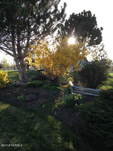 13910 Fisk Road Yakima, WA 98908 - Photo 6 of 48 a backyard of a house with lots of green space