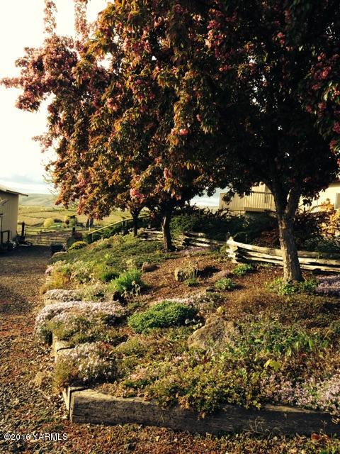 13910 Fisk Road Yakima, WA 98908 - Photo 7 of 48 a view of outdoor space and yard