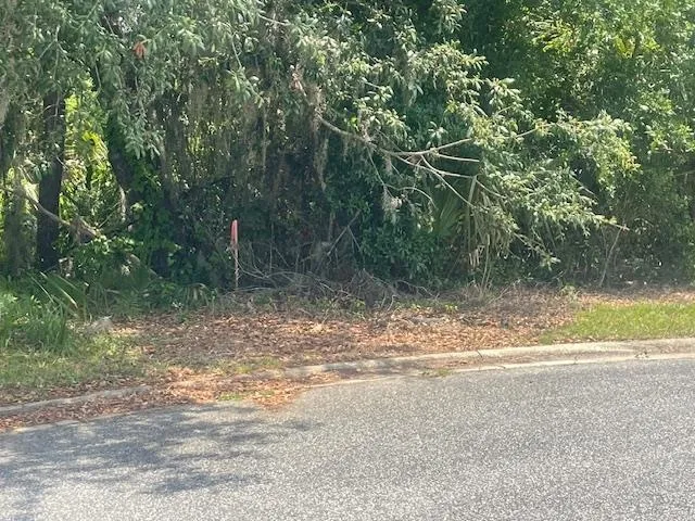 a view of a yard with a tree