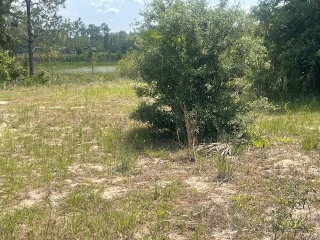 a black and white photo of a room