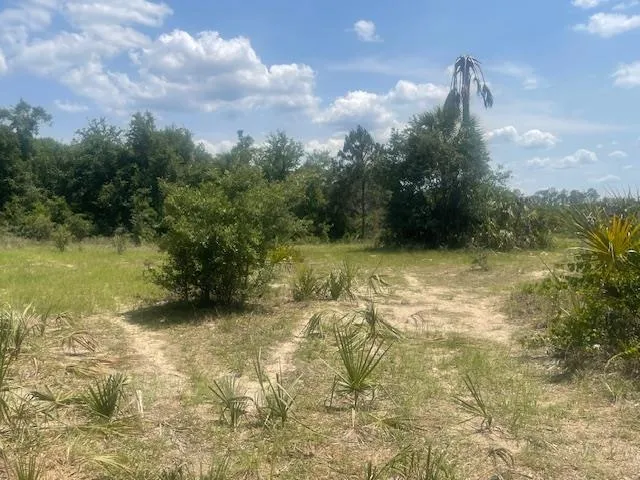 $140,000 | 211 Village Drive, Welaka, FL 32193