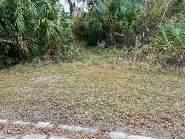 a view of a lake from a yard