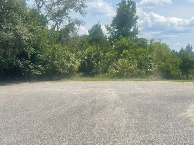 a view of a yard with plants and a bench