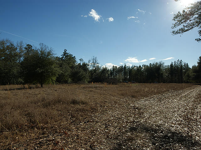4771 State Road Ridgeville, SC 29472 - Photo 43 of 46 4771 State Rd
