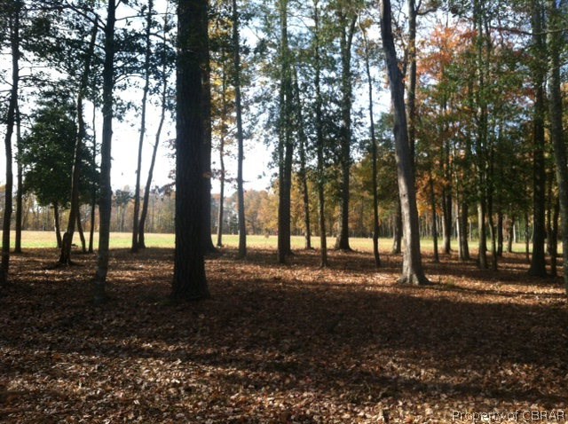 3 Apple Grove Road Kilmarnock, VA 22482 - Photo 3 of 4