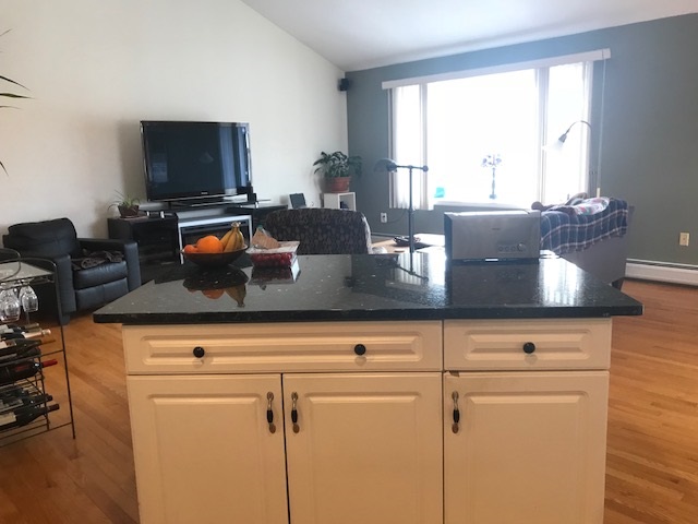 223 Deer Meadow Road Webster, NH 03303 - Photo 16 of 40