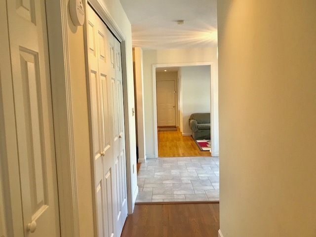 223 Deer Meadow Road Webster, NH 03303 - Photo 31 of 40