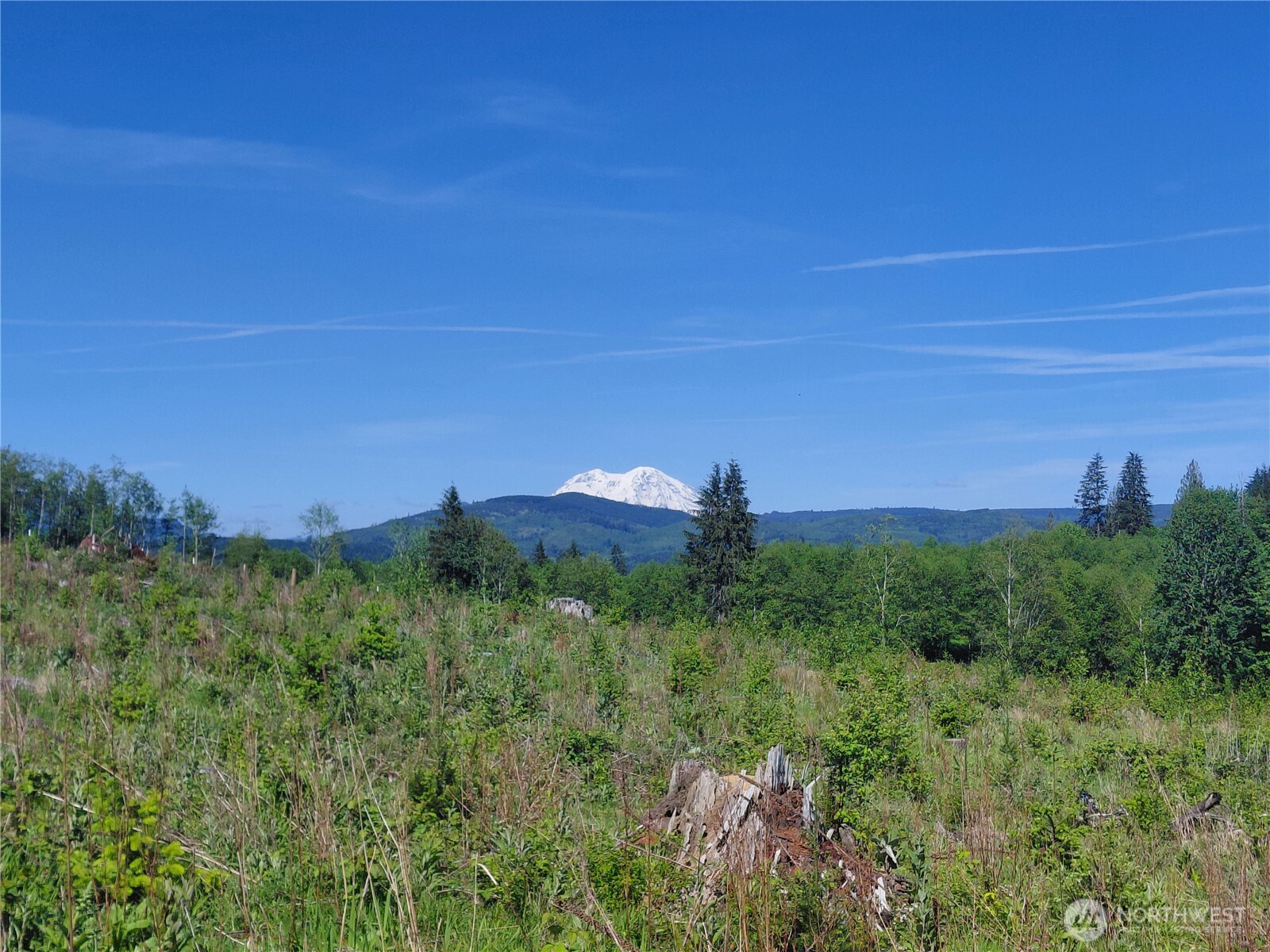 195-82 Hagen Road Mossyrock, WA 98564 - Photo 1 of 15 a view of a field with a tree in the background