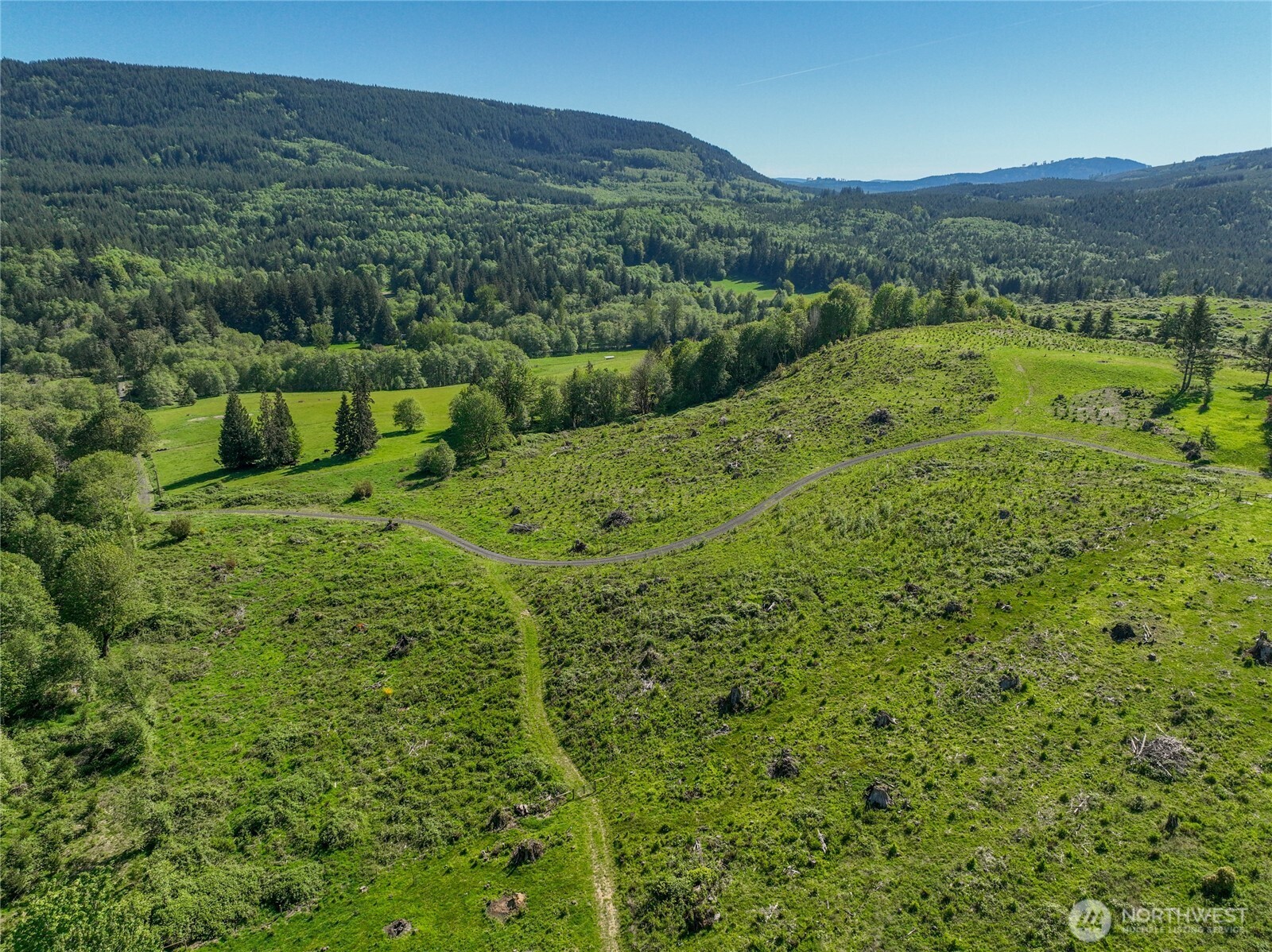 195-82 Hagen Road Mossyrock, WA 98564 - Photo 11 of 15 a view of a lush green forest with trees and some houses