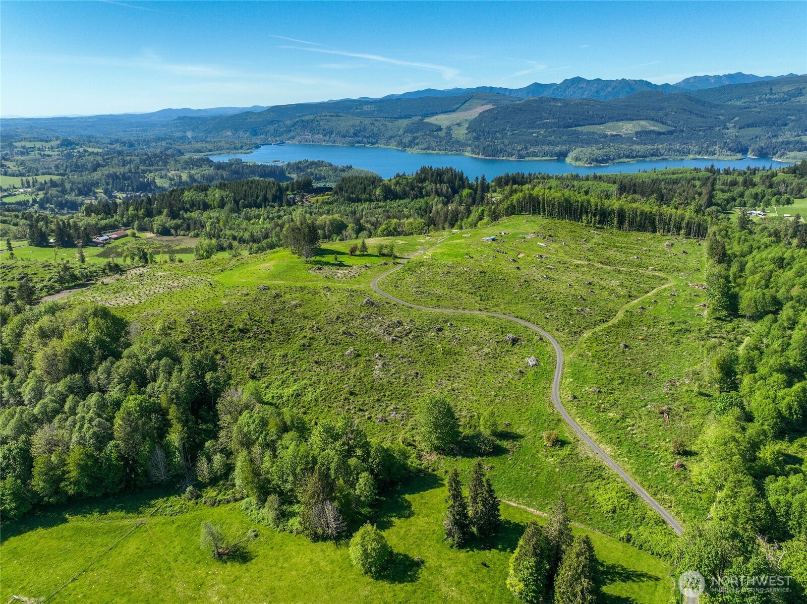195-82 Hagen Road Mossyrock, WA 98564 - Photo 12 of 15 a view of a lush green hillside and houses
