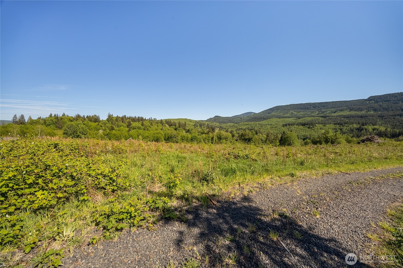 195-82 Hagen Road Mossyrock, WA 98564 - Photo 15 of 15 a view of mountain view with lush green forest