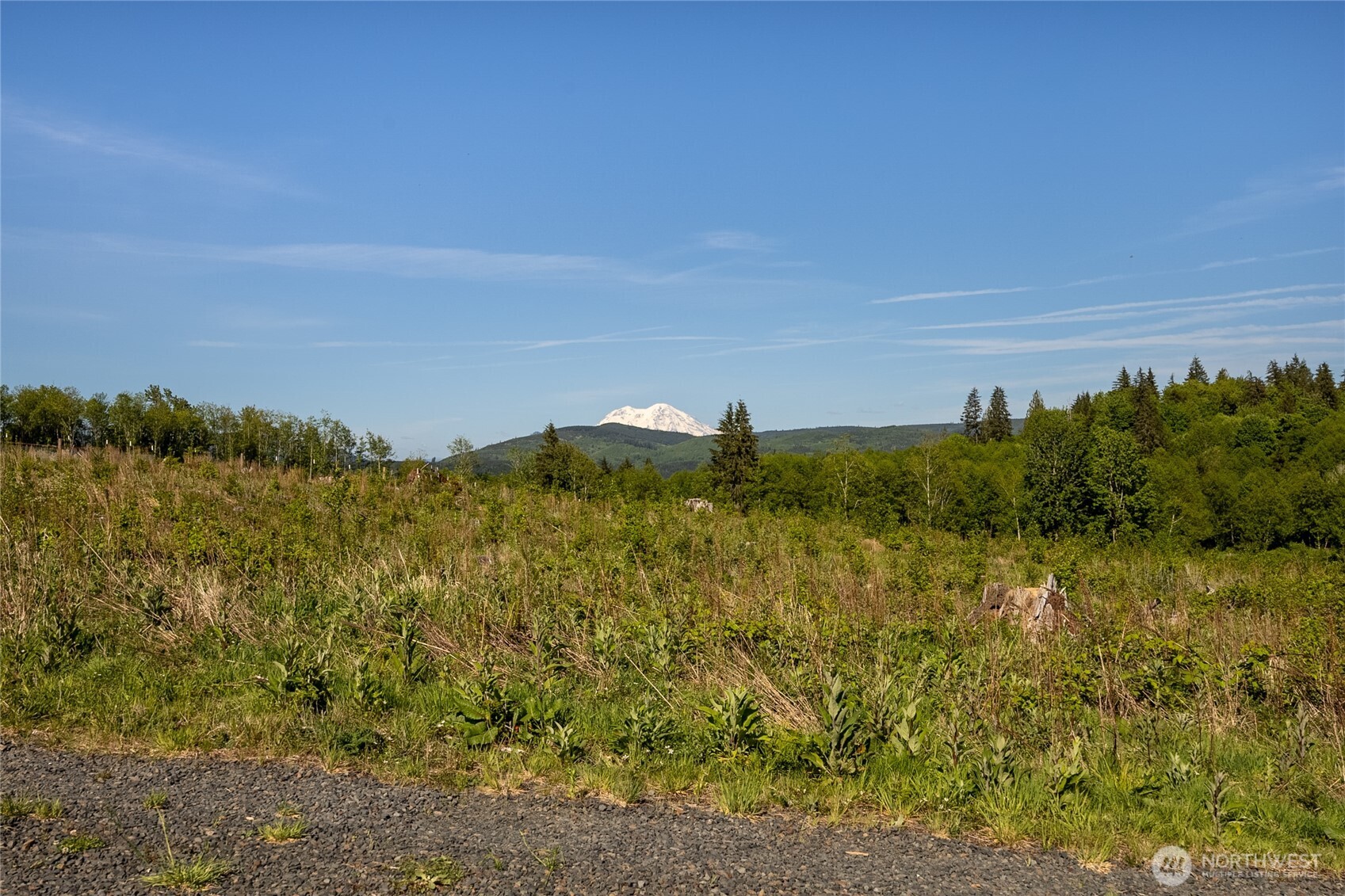 195-82 Hagen Road Mossyrock, WA 98564 - Photo 2 of 15 a view of a field with an ocean