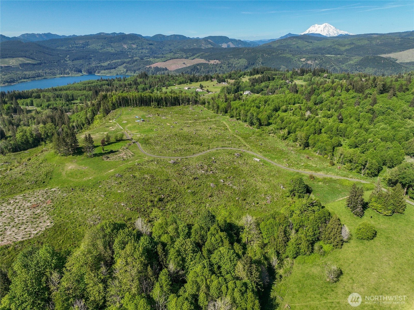 195-82 Hagen Road Mossyrock, WA 98564 - Photo 3 of 15 a view of a lush green hillside and houses