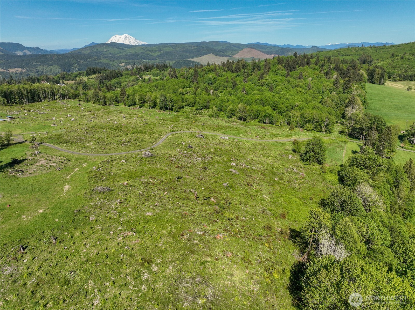 195-82 Hagen Road Mossyrock, WA 98564 - Photo 4 of 15 a view of a lush green hillside and houses