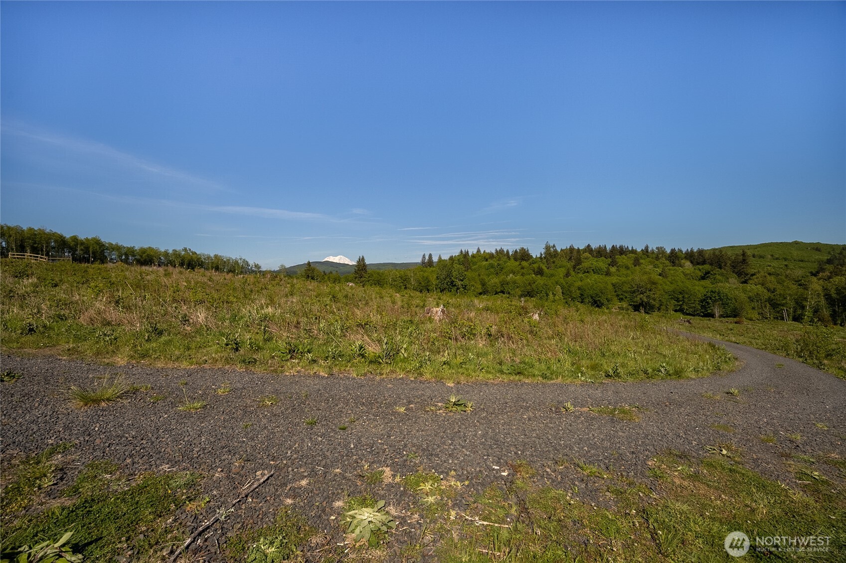 195-82 Hagen Road Mossyrock, WA 98564 - Photo 6 of 15 a view of a field with an ocean