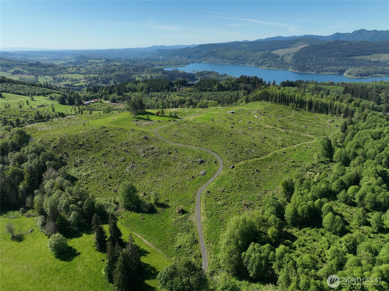 195-82 Hagen Road Mossyrock, WA 98564 - Photo 7 of 15 an aerial view of mountain with trees