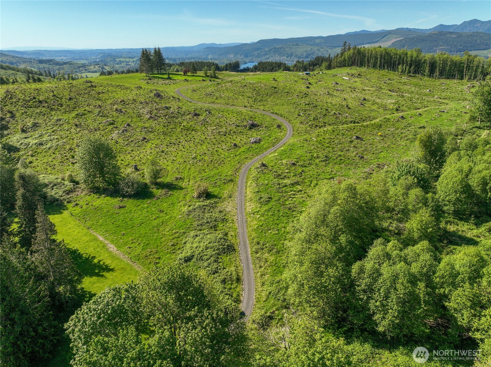 195-82 Hagen Road Mossyrock, WA 98564 - Photo 9 of 15 a view of an ocean from a yard