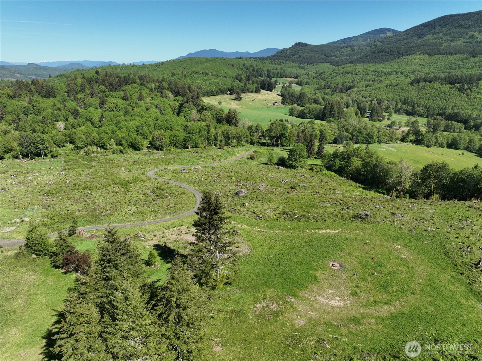 195-82 Hagen Road Mossyrock, WA 98564 - Photo 10 of 15 a view of a lush green hillside and houses