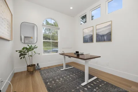 a living room with furniture and a potted plant