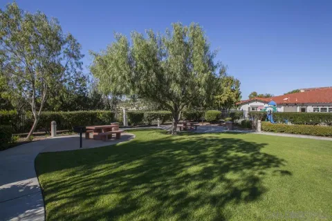 a view of a park with plants and trees