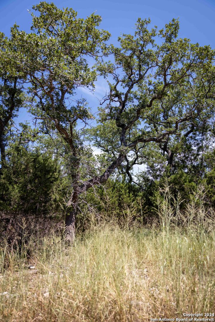7726 Ramble Ridge San Antonio, TX 78266 - Photo 8 of 14 a view of a yard