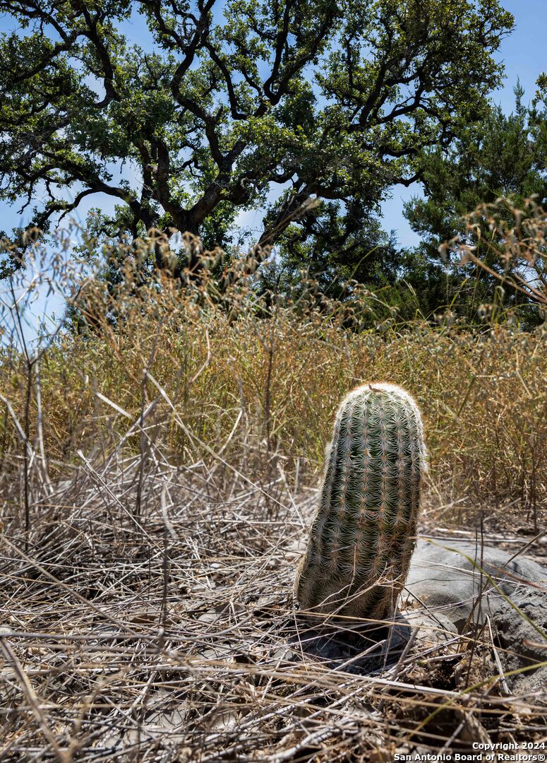 7726 Ramble Ridge San Antonio, TX 78266 - Photo 9 of 14 a view of a backyard