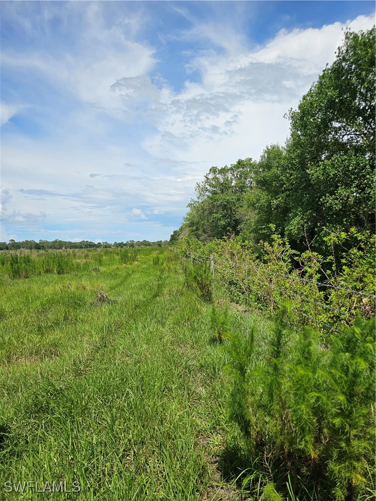 Kirby Thompson Road LaBelle, FL 33935 - Photo 3 of 12 a view of a field of grass and trees