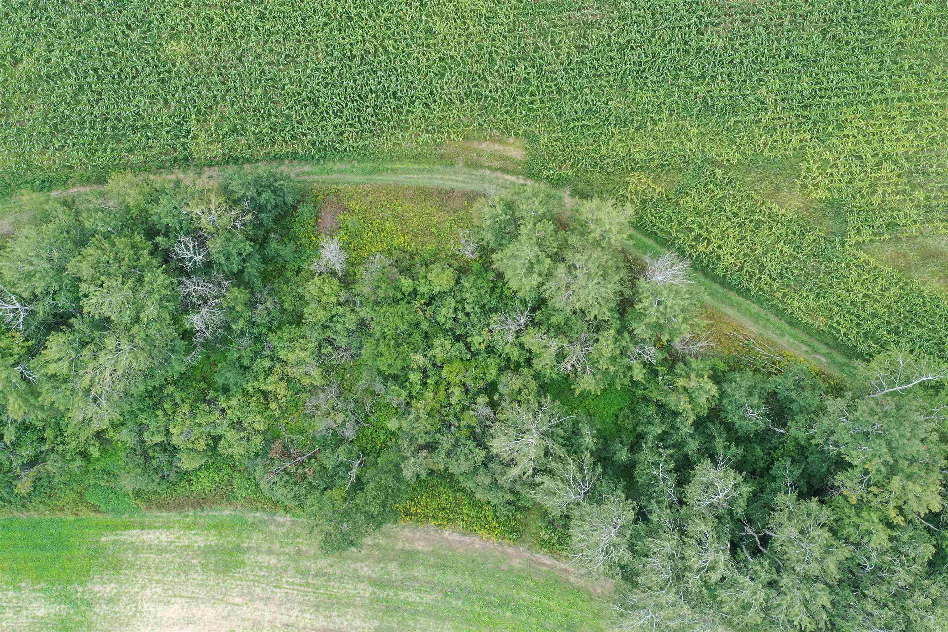 0 Us-31 Street Traverse City, MI 49685 - Photo 87 of 89