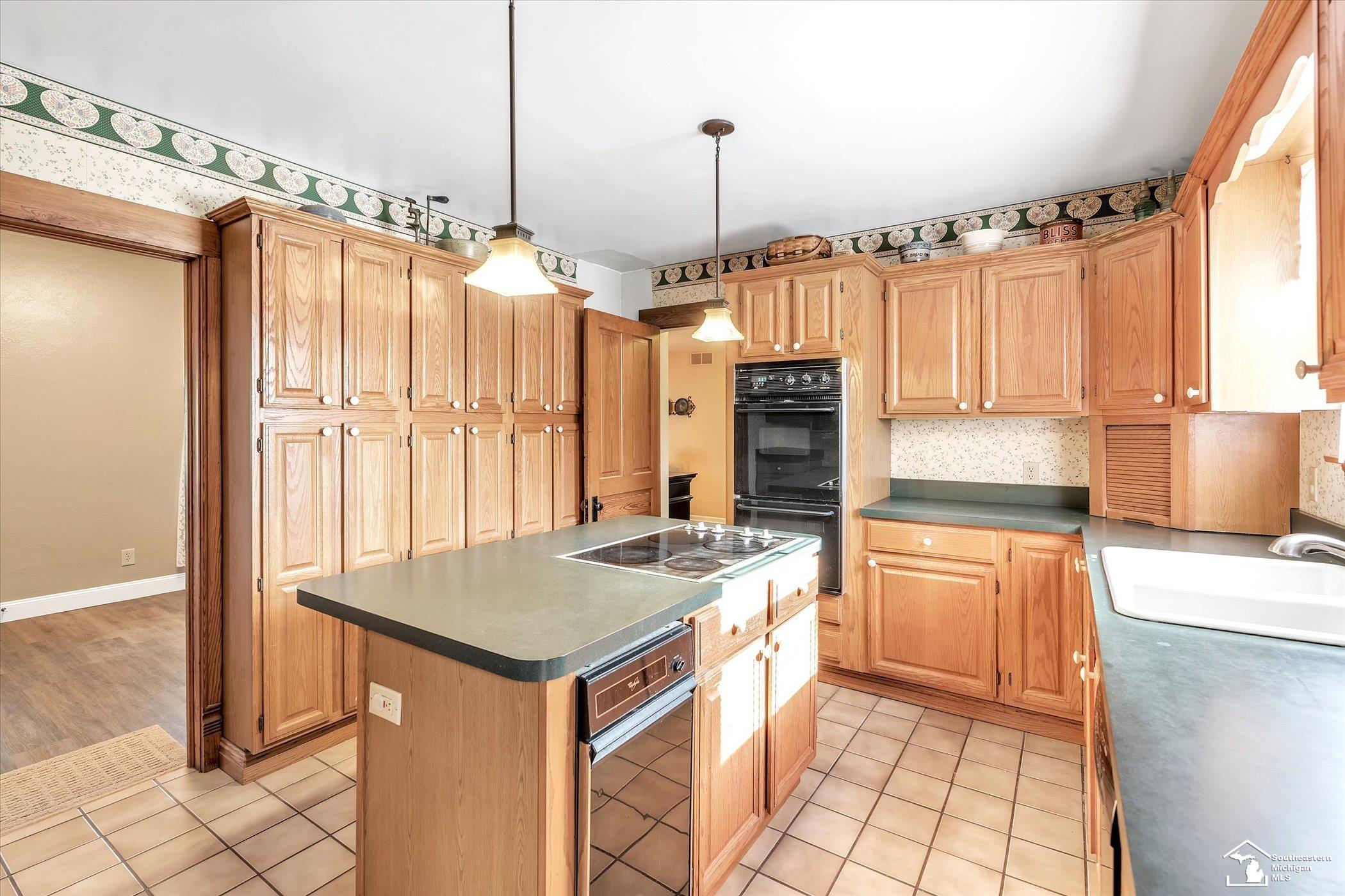 9029 Ida West Road Ida, MI 48140 - Photo 26 of 57 50105087-25.JPG