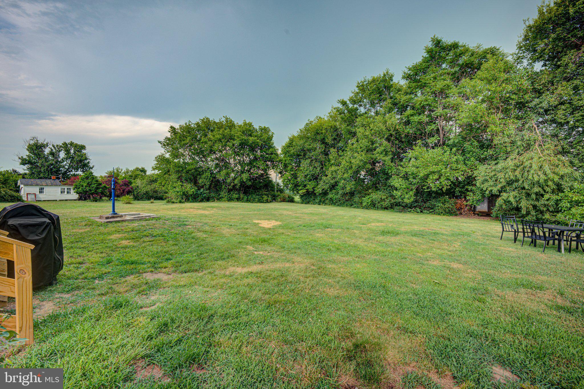 24177 Rapidan Road Mitchells, VA 22729 - Photo 42 of 43 Spacious green oasis with lush trees.