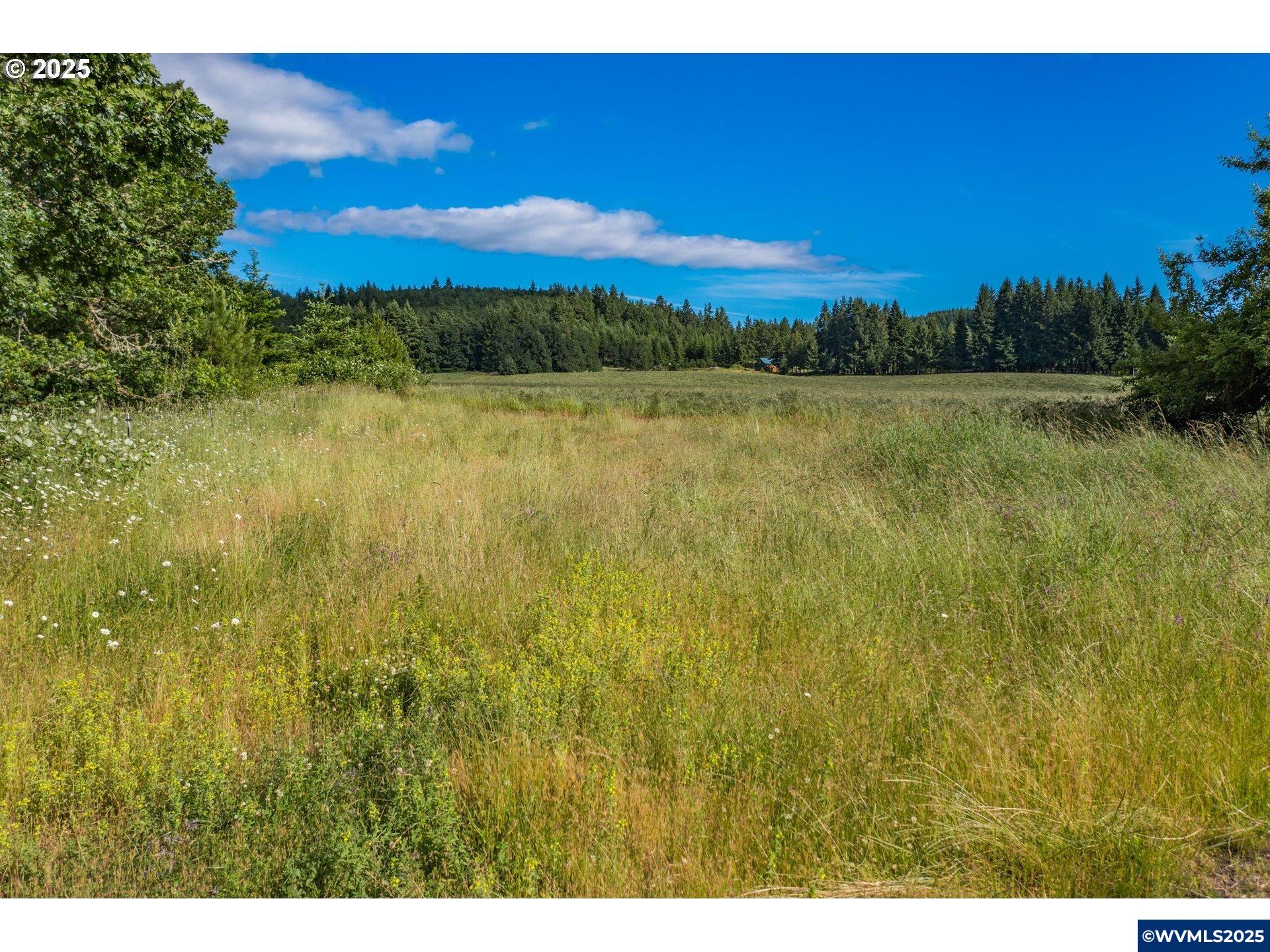 23380 Hoskins Road Philomath, OR 97370 - Photo 23 of 23