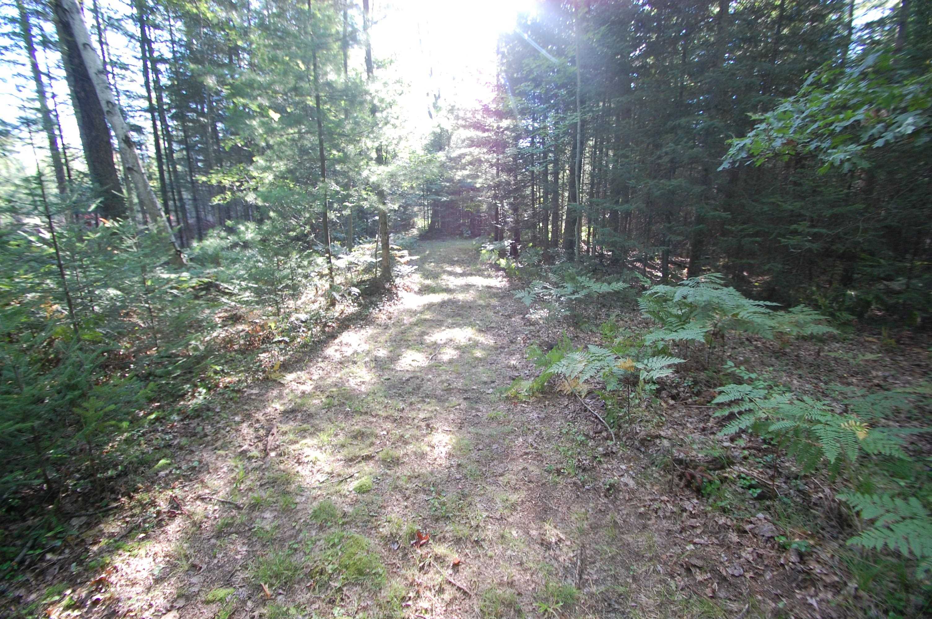 1335 Mann Road Twining, MI 48766 - Photo 4 of 5