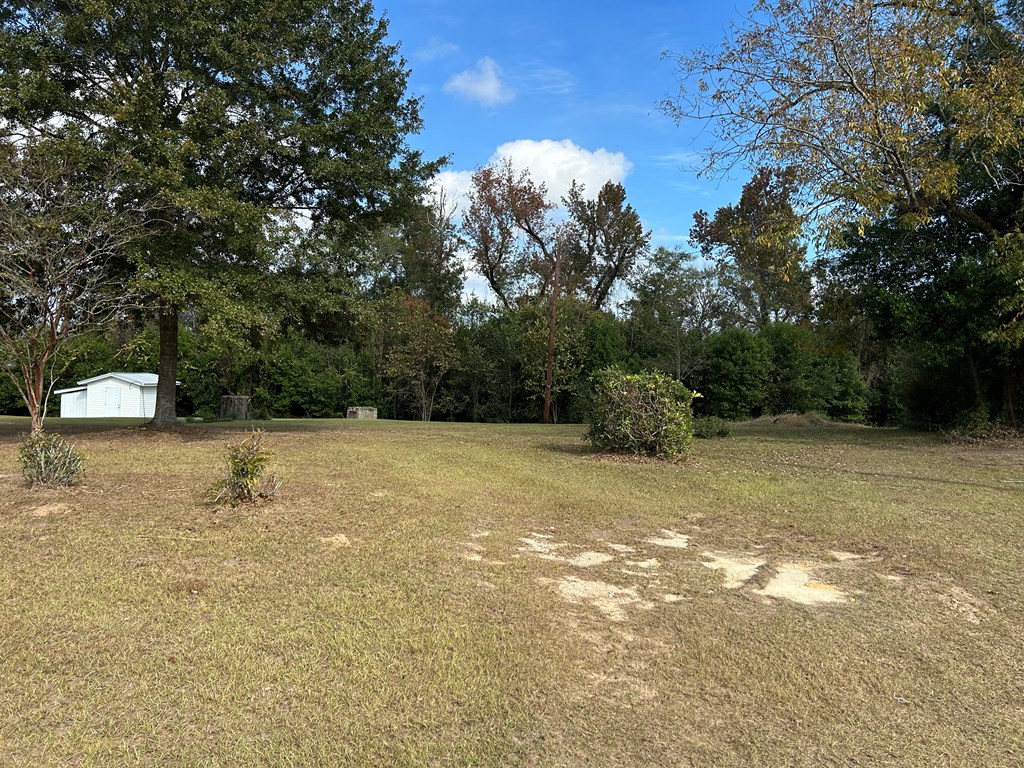 2116 North Co Road Gordon, AL 36343 - Photo 29 of 45