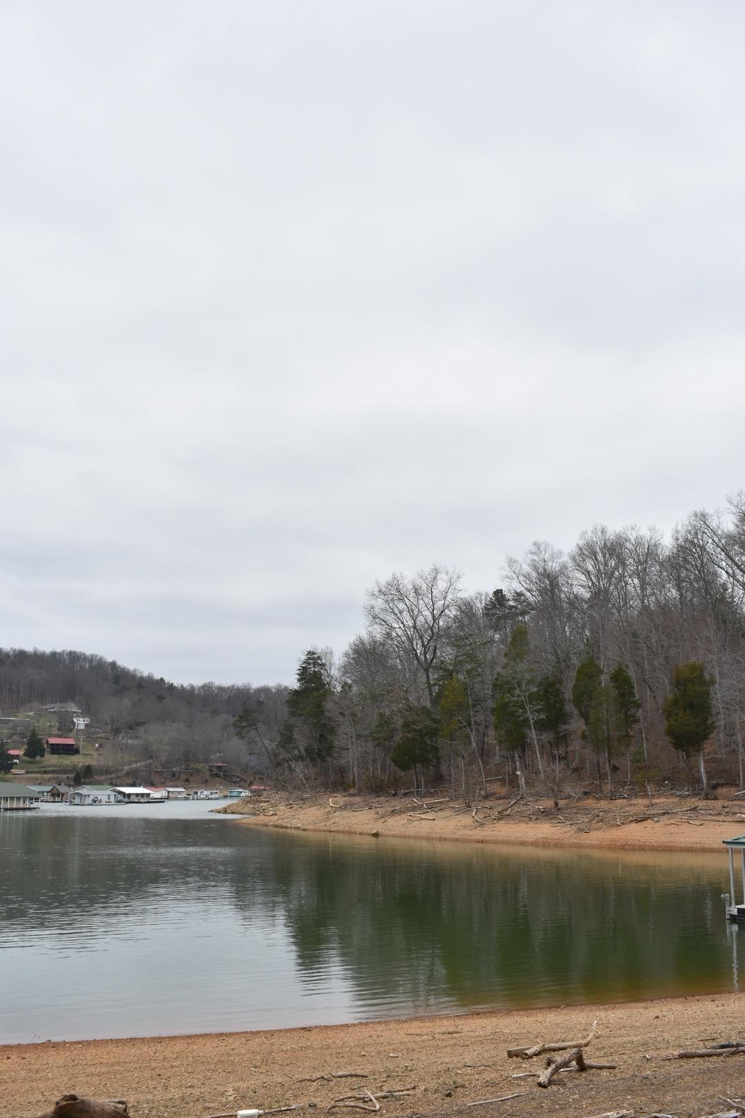 Lot 162 Bridle Way Road Speedwell, TN 37870 - Photo 1 of 31 DSC_0494 - Copy