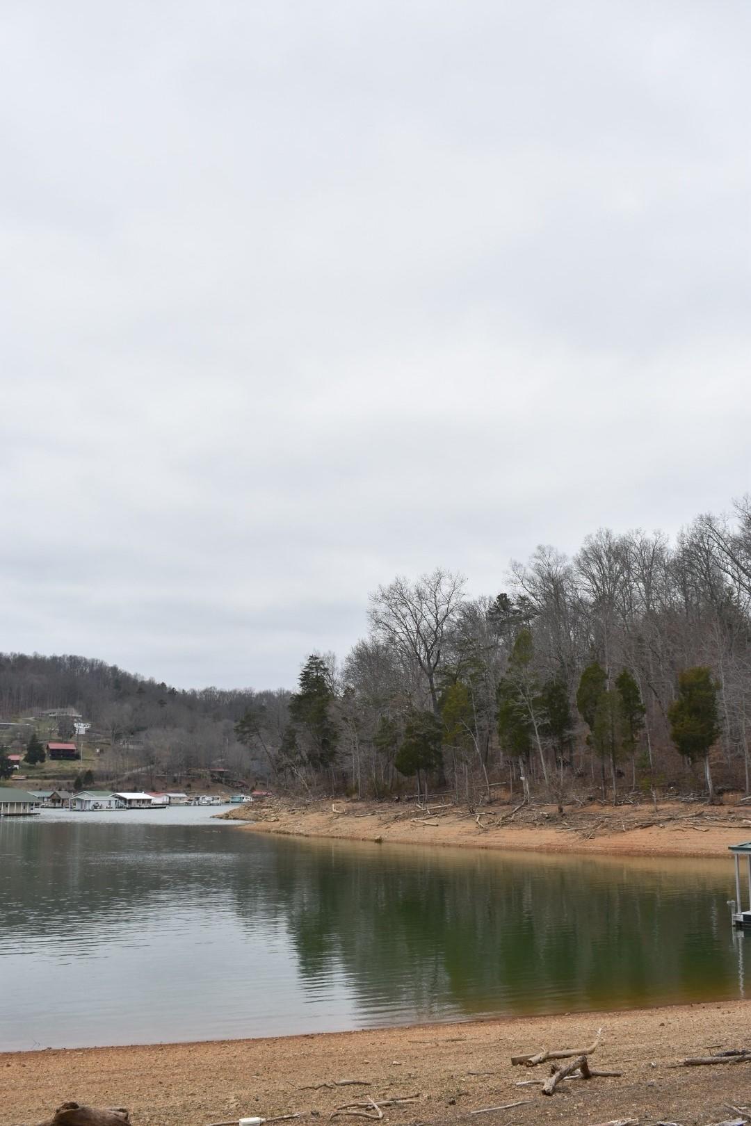 Lot 162 Bridle Way Road Speedwell, TN 37870 - Photo 2 of 31 DSC_0494