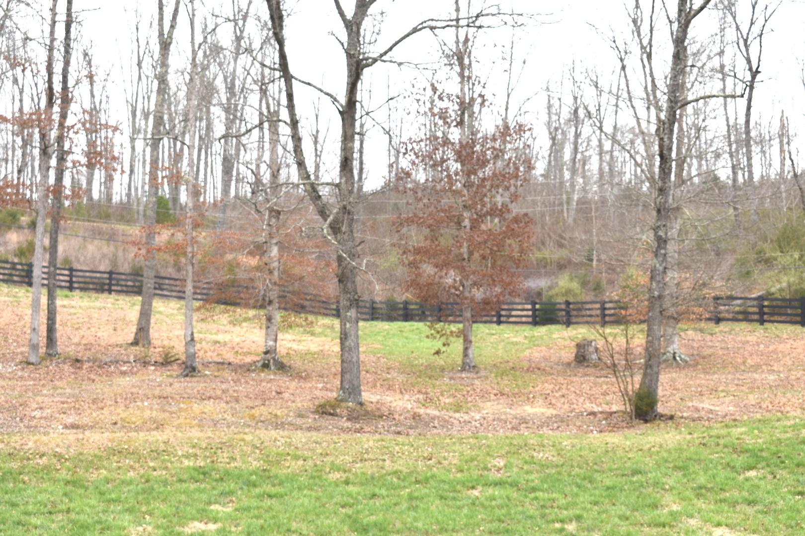 Lot 162 Bridle Way Road Speedwell, TN 37870 - Photo 12 of 31 DSC_0537