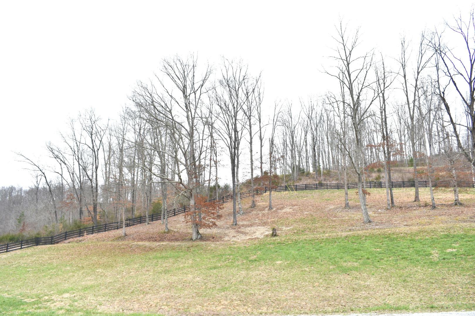 Lot 162 Bridle Way Road Speedwell, TN 37870 - Photo 13 of 31 DSC_0536