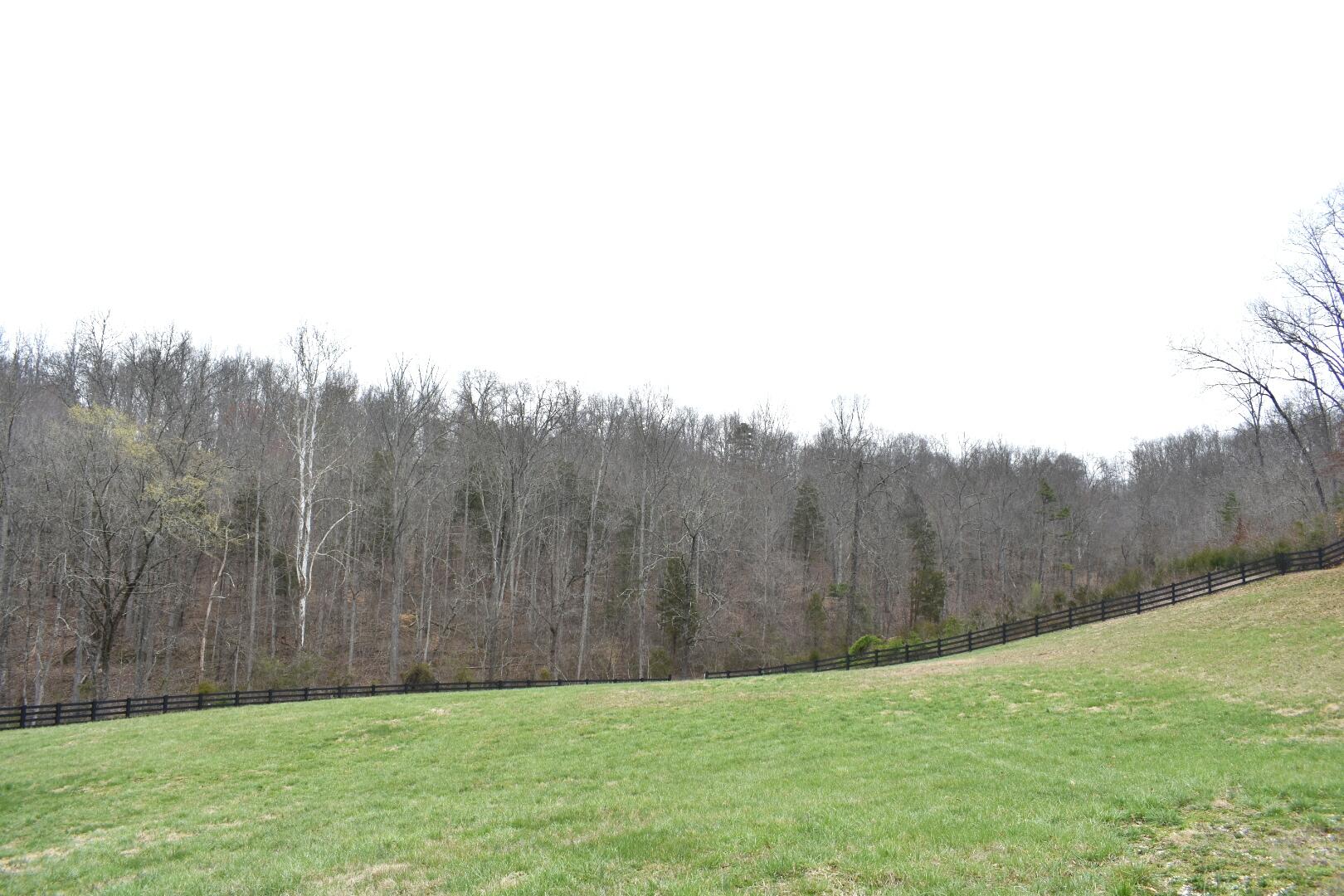 Lot 162 Bridle Way Road Speedwell, TN 37870 - Photo 14 of 31 DSC_0535