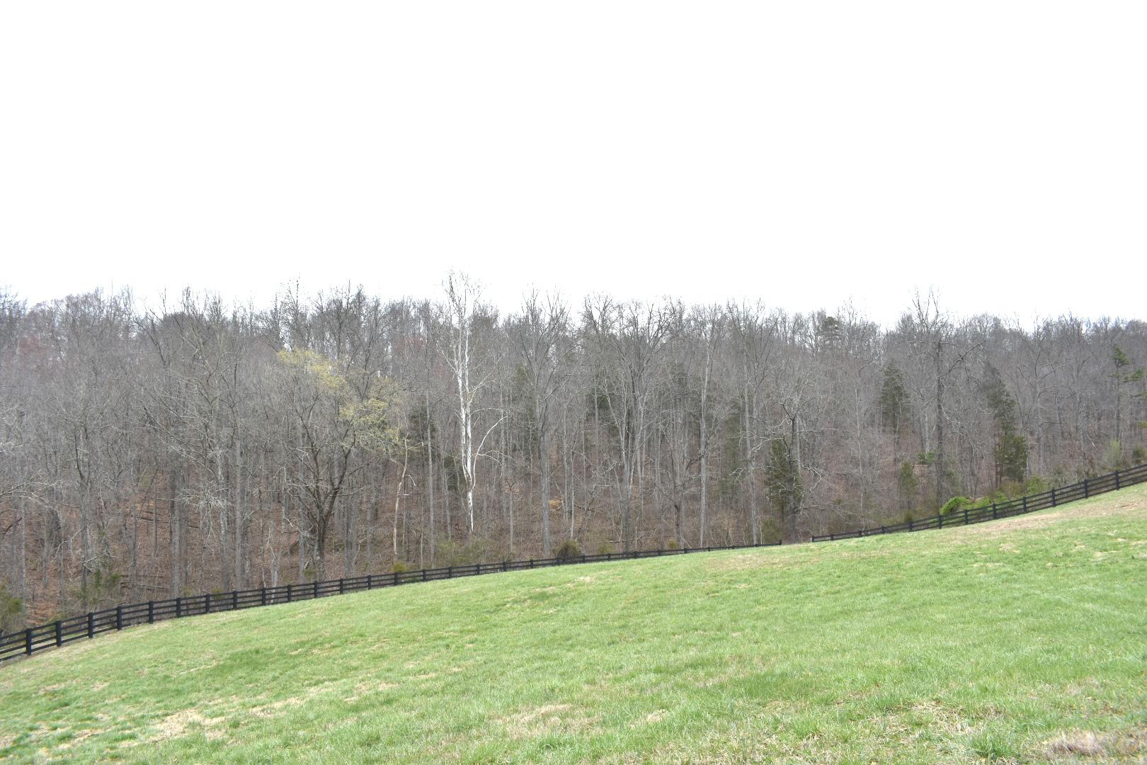 Lot 162 Bridle Way Road Speedwell, TN 37870 - Photo 15 of 31 DSC_0534