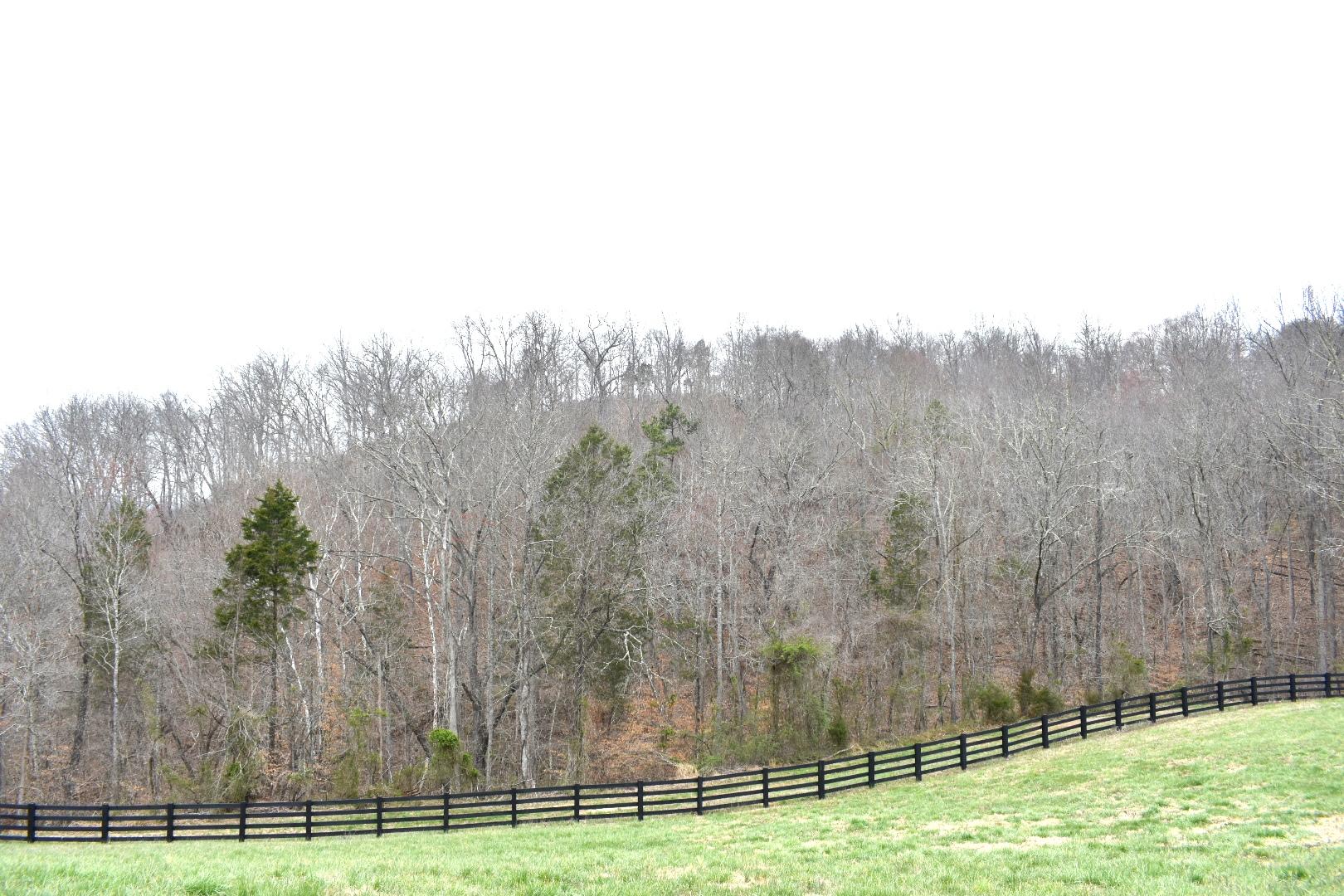 Lot 162 Bridle Way Road Speedwell, TN 37870 - Photo 16 of 31 DSC_0533
