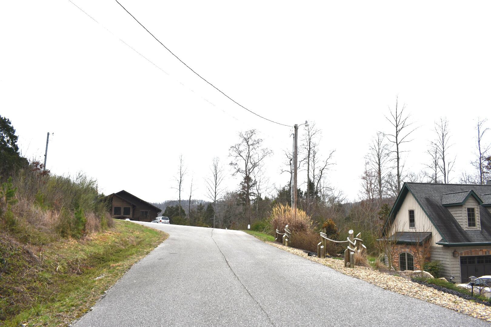 Lot 162 Bridle Way Road Speedwell, TN 37870 - Photo 21 of 31 DSC_0522