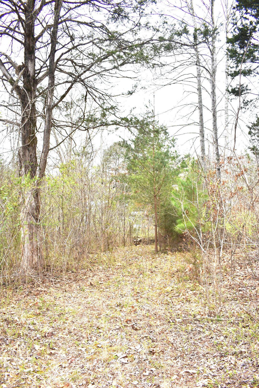 Lot 162 Bridle Way Road Speedwell, TN 37870 - Photo 24 of 31 DSC_0509