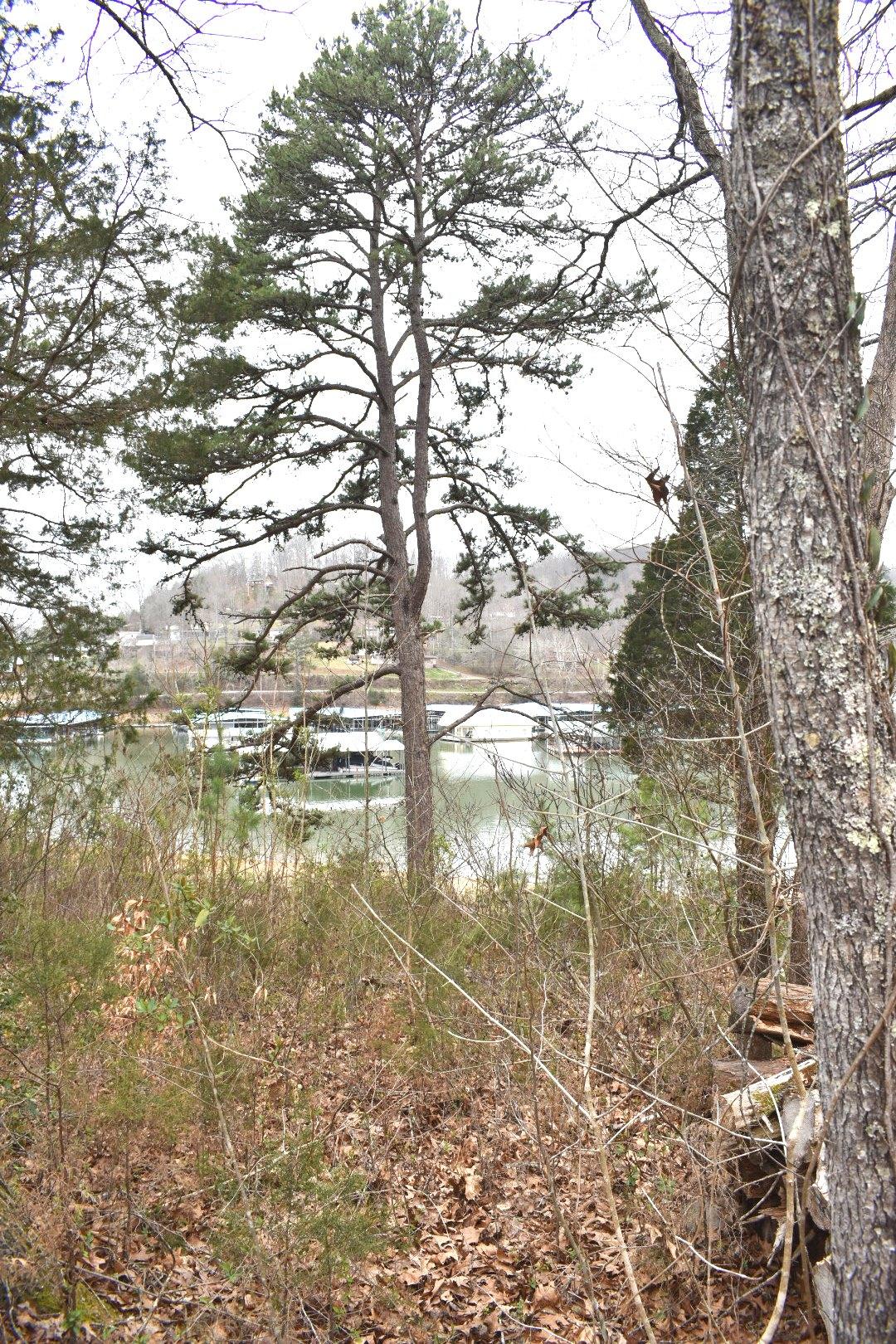 Lot 162 Bridle Way Road Speedwell, TN 37870 - Photo 27 of 31 DSC_0500