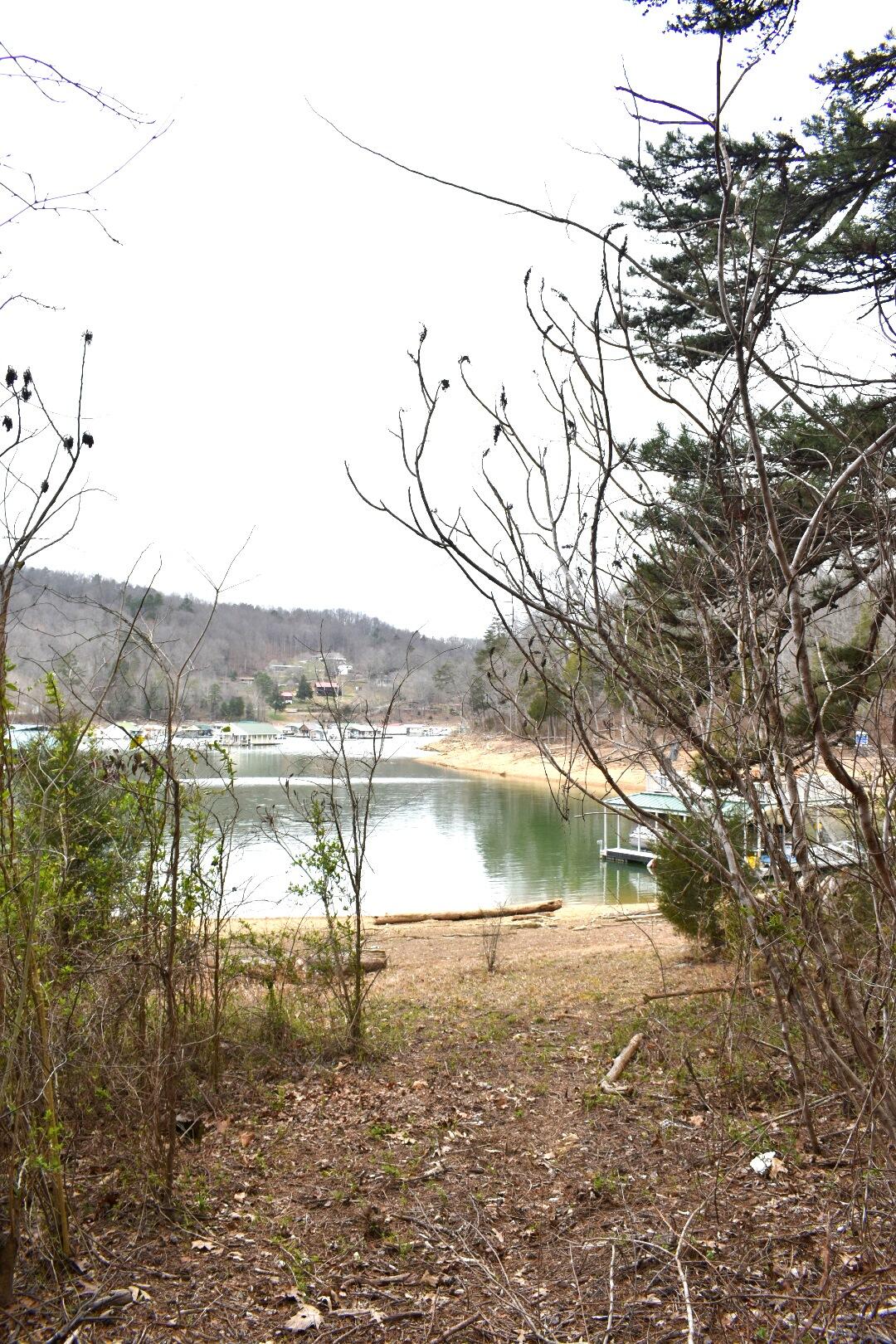 Lot 162 Bridle Way Road Speedwell, TN 37870 - Photo 29 of 31 DSC_0497