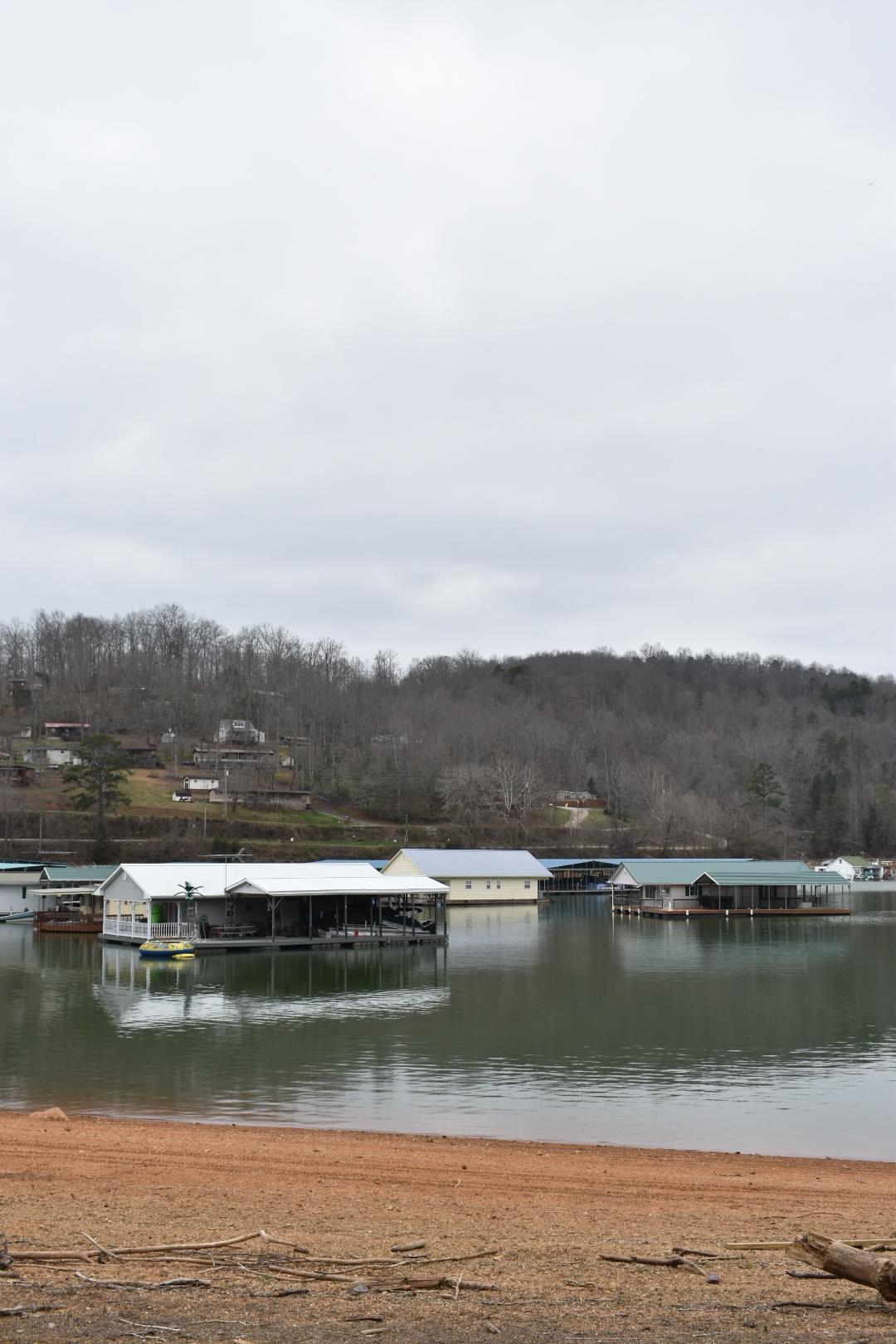 Lot 162 Bridle Way Road Speedwell, TN 37870 - Photo 30 of 31 DSC_0492